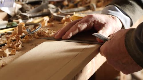 Carpenter rules angle using adjustable bevel