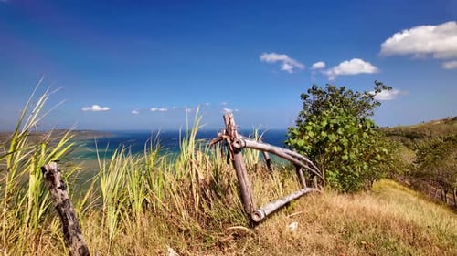 Pathway to the sea