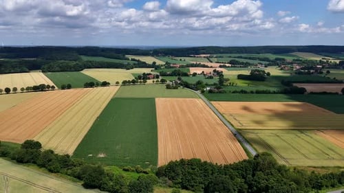 Colored agricultural farm fields with green trees and white clouds at sky. American countryside in s