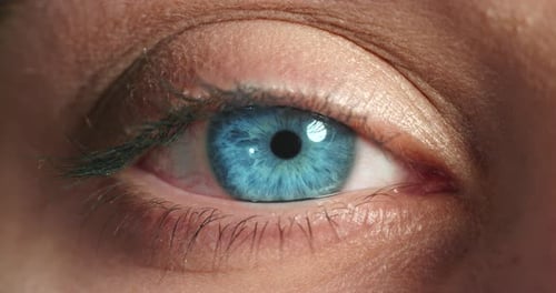 Blaue Augen, Kontaktlinse und Frau für das Sehen, Optometrie und Nahaufnahme der menschlichen Anatomie