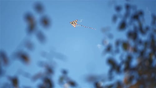 Colorful Rainbow Kite Flying in Wind