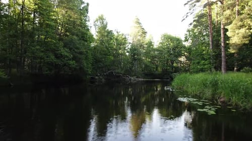 Fliegen Sie entlang eines dunklen Flusses in Schweden, umgeben von grünem Wald