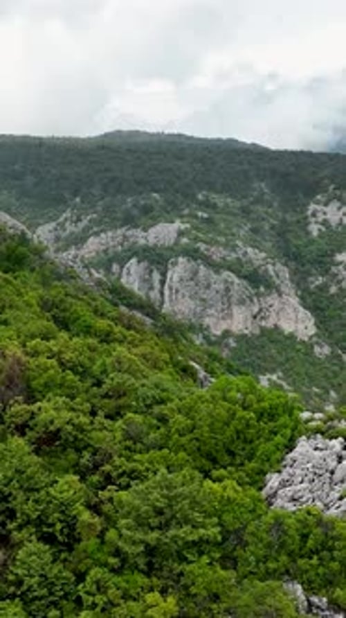 Vertical Video Aerial View of Lush Green Forest Cinematic Journey with Adventurous Explorers
