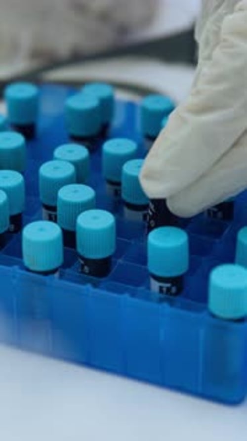 Blood Sample Added to Vials in Tray