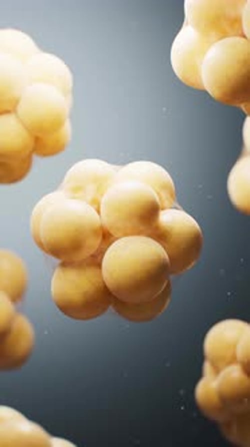 Biomedical microscopic fat cells structure