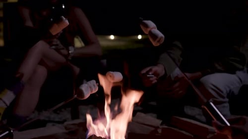 Friends Roasting Marshmallows Around a Campfire at Night