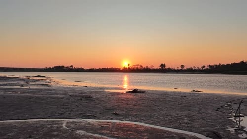 A beautiful sunset silhouetted against a swamp, river, and trees. This video is perfect for an