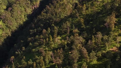 aerial footage of the Mount Merapi valley in Yogyakarta exposed to the morning sun.