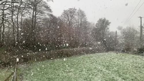 Starker Schneefall über einem Heckengarten, der an ein Waldgebiet grenzt, in Zeitlupe 1080p