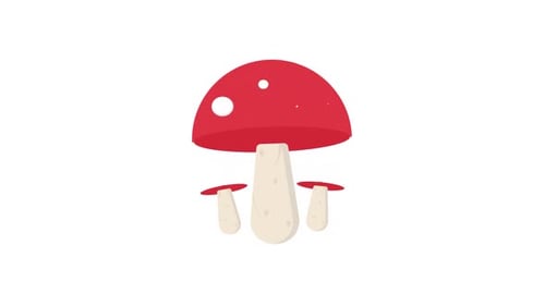 Animated Mushroom Trio Reveal in Flat Design Style