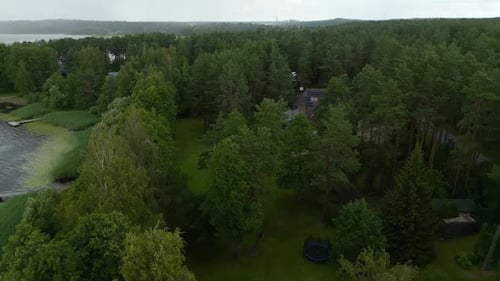 Overhead Woodland Scene Aerial View Showcases a Dense Forest with a Serene Lake in the Background