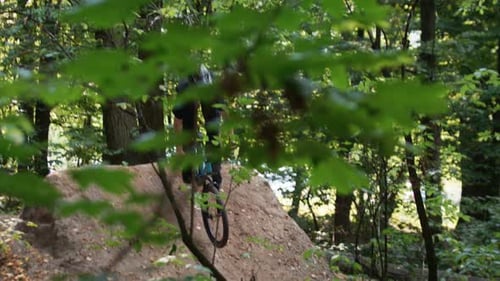 Agile Man Jumps Turning Dirt Bicycle on Forest Extreme Ground