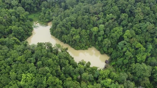 Small dam in a lush green forest