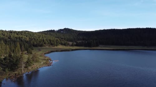 Wonderful Lake And Forest View
