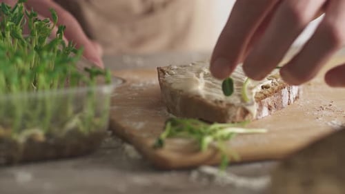 Person Adds Fresh Sprouts to Bread Slice