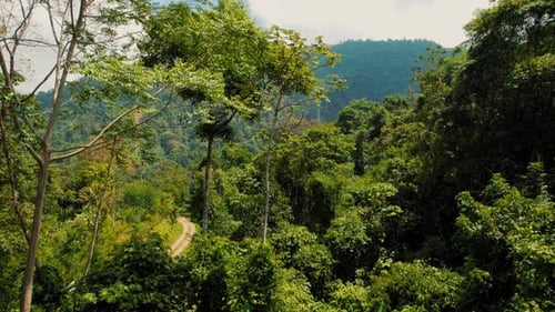 Dense tropical rainforest with distant view of Catarata Diamante watefall in Costa Rica