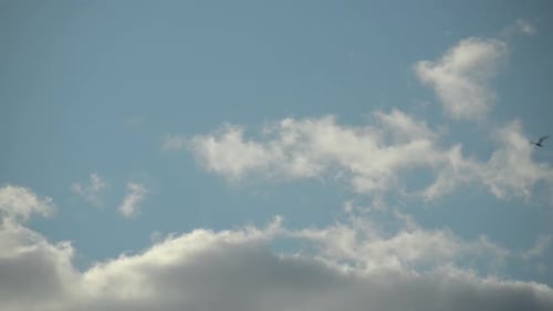 Birds Fly Through a Blue Sky with Clouds