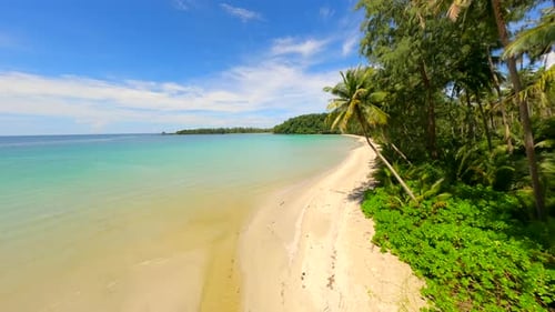 Flight Near Palm Trees on Tropical Paradise Beach with Turquoise Sea Thailand