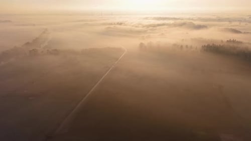 At dawn, fields and trees are shrouded in thick fog, a river flows through it and wind turbines glow