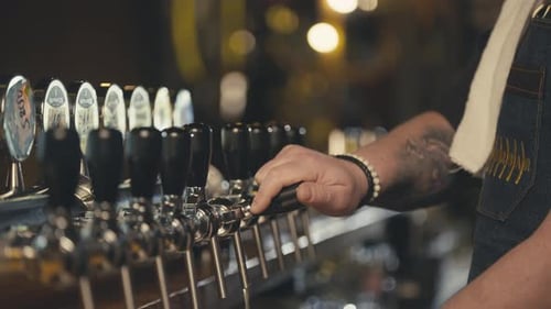 The Bartender Lowers the Faucet Handle and Pours Beer