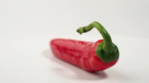 Shiny Red Chili Pepper on White