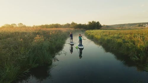 Travelers Riding Paddleboards in River Covered with Fog in Early Morning