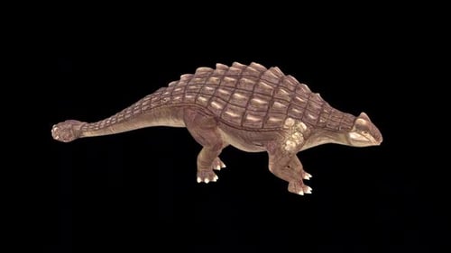 Ankylosaurus Dinosaur Walking 3D Animation