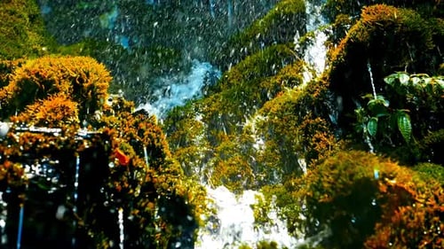 Water Drop Falling