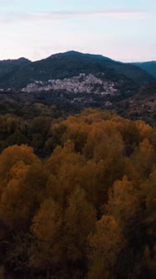 Above the Rich Carpet of Autumn