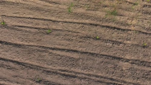 An aerial view captures the freshly tilled earth.