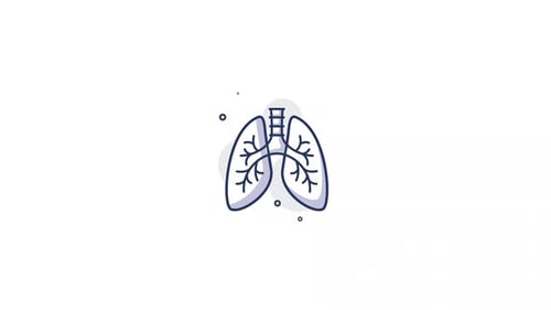 Modern Animated Lungs Respiratory System Icon