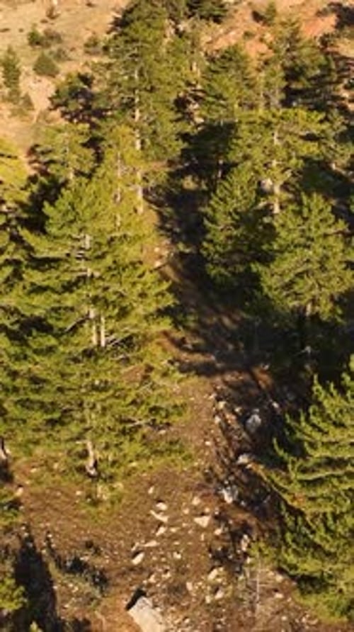 High Above Sea Level Vertical Video of a Majestic Mountain River
