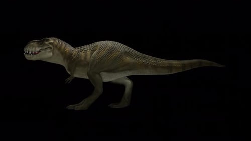 Trex Dinosaur Walk 3d Render Footage