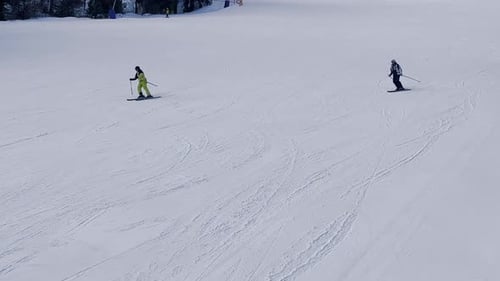 Skiers Skiing Downhill in Winter Resort Mountains