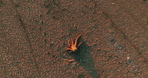Drought View of Cracked Earth and DriedUp Lake