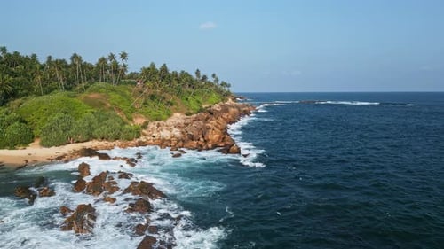 Aerial Drone Flight Over Tropical Coast Shows Waves Hitting Rocks Palm Trees Lining the Shore Serene