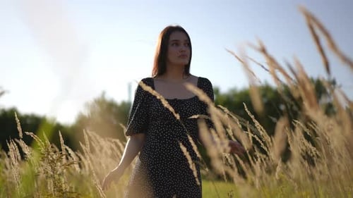 Lowangle Shot A Sweet Brunette Girl with Long Hair in a Black Dress Walks Through a Field with Tall