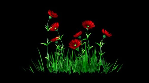 Flowers Red Glade Growing Alpha Channel