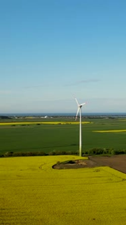 Aerial Vertical Shot Of Wind Turbine In Rapeseed Field At Sunset