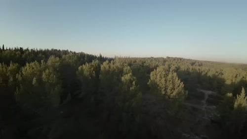 Aerial FPV video over the Ben Shemen forest on a sunny day in Israel