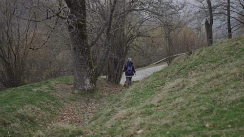 Mature Caucasian Woman in the Forest in Nature Walking with Her German Shepherd Dog Before Crossing