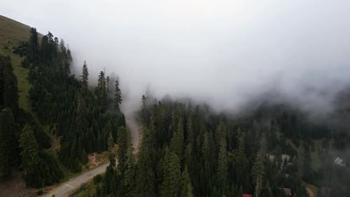 Misty Mountains Forest Aerial View