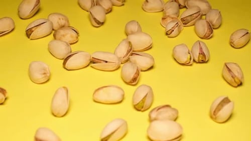 Macro Pistachios Falling on a Yellow Background in Slow Motion Super Slow Motion