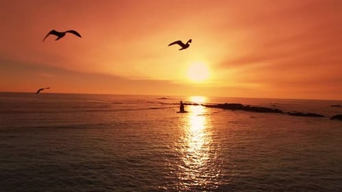 Sunset on the beach 4K