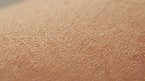 Handoberfläche mit Haar, Nahaufnahme, Reaktion der menschlichen Haut auf Kälte oder Angst, Arm auf schwarzem Hintergrund, statisch
