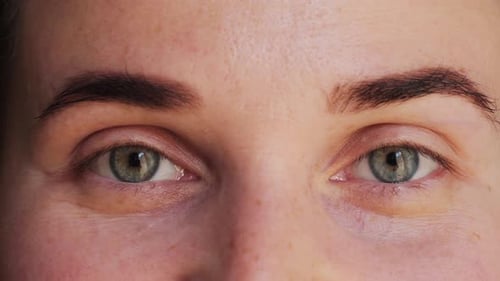 Close Up of Woman Face Close Up of Beautiful Green Eyes
