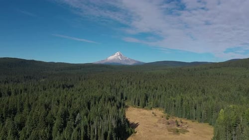 Aerial epic shot flying above evergreen forest toward a tall mountain peak covered by snow.