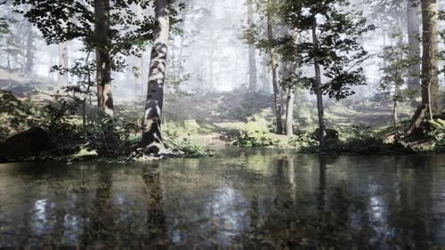 Misty Forest Landscape with Reflections in a Calm Pond on a Serene Morning