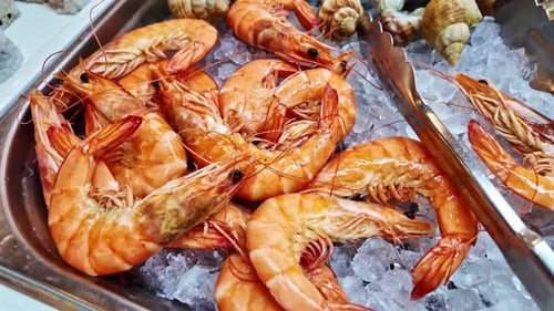 Fresh shrimps on crushed ice, seafood market, shellfish. Close-up