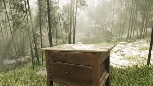 A Solitary Wooden Table in the Midst of a Serene Forest
